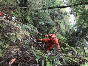 老人傍晚登山被困陡坡 消防紧急营救 