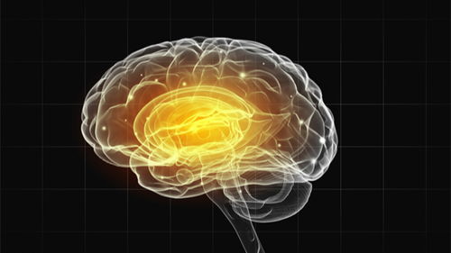 25个冷知识 有关大脑,科学家给以合理解释的神秘发现