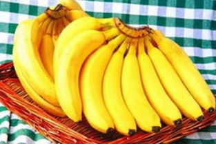 几月份是吃香蕉的季节 香蕉为何一年四季都有