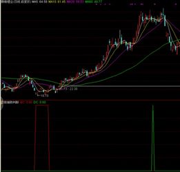 求大大改写MACD底面积背驰副图指标成顶面积背驰副图指标 指标是通达信的 
