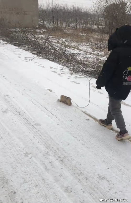 陕西咸阳 男孩下雪天在路上 遛 砖头,网友 这绳子怎么是弯的