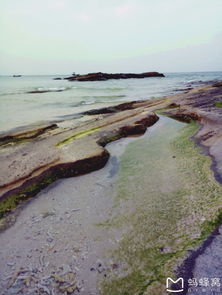 北海自驾游停车费,景点 海滩 市区停车价格大揭秘(北海市哪里有免费的停车场)