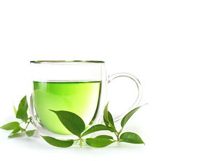 淡雅的绿色清茶高清摄影图片