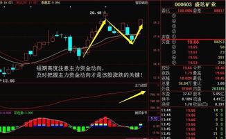 中国云锡矿业赢利怎样？不知到能不能买中国云锡矿业股票？