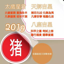 新年好 2019十二生肖 吉凶