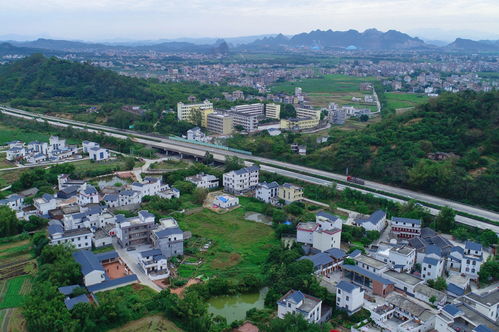 校地联建,书写乡村振兴的 北流答卷