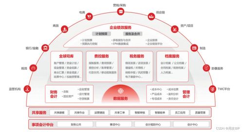 共享意义的词语解释大全,财务共享的目的和意义？