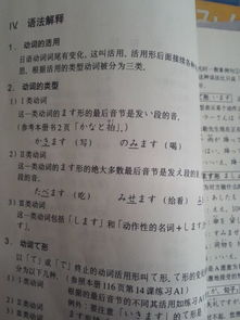 处理词语的意思解释_处理和解决这两个词语含义有什么区别？