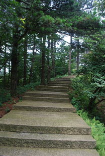 九华山 下 从花台到天台