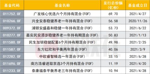 有谁知道嘉实领航FOF的业绩比较基准是什么？