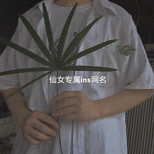 别具一格的ins风小众网名