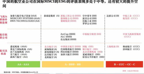 加拿大有哪些有代表性的公司或者企业尚未进入中国？