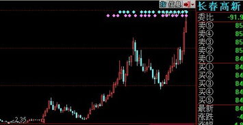 07年的牛市是怎么结束的？什么原因从6124下来，具体点。