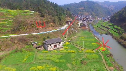 偌大的村庄偏偏这一户人家在此建房,背山面水,原来是个风水宝地 