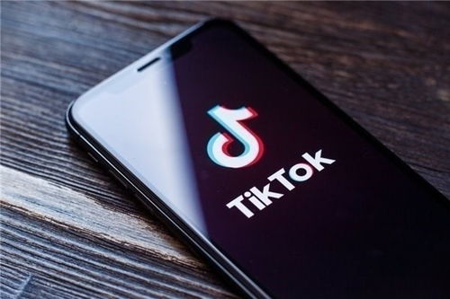 苹果tiktok怎么网络设置_英国Tiktok shop开通