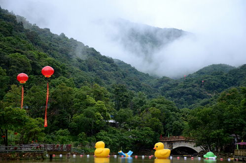 惠州博罗秋枫寨景区为什么关闭了(惠州博罗秋枫寨好玩吗)