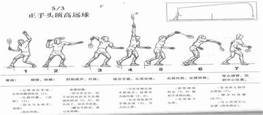 文章 2016年第一学期羽毛球教案 11 