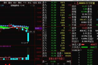 东方财富网 输入手机号 推荐牛股 可靠吗