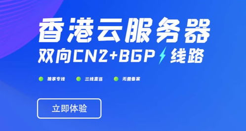 在国内出售香港云服务器 VPS 需要办理IDC许可证吗 (买香港服务器犯法吗知乎)