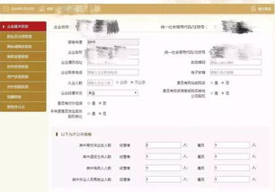 一家发起设立的股份有限公司，章程显示出资人出资额为8亿元，注册资本（实收资本）为2亿元。