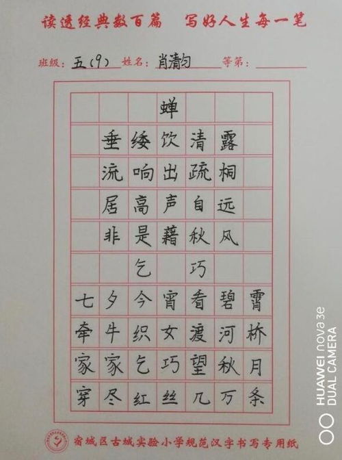 古城实小 笔墨凝书香 汉字书经典