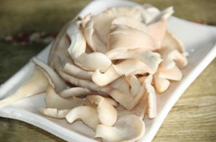 平菇可以和豆腐一起吃吗 平菇和菠菜能一起吃吗