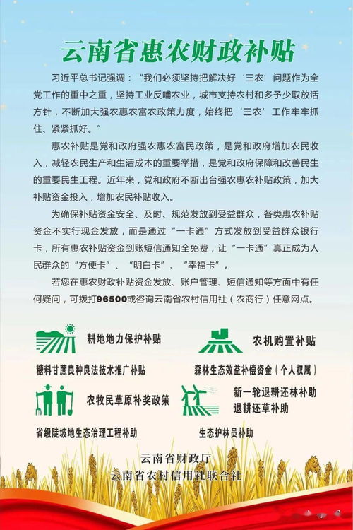 国家惠农补贴政策是从哪年开始(国家惠农补贴政策是从哪年开始的)