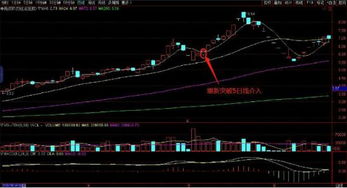 做短线的说说到底哪个股票软件的速度最快