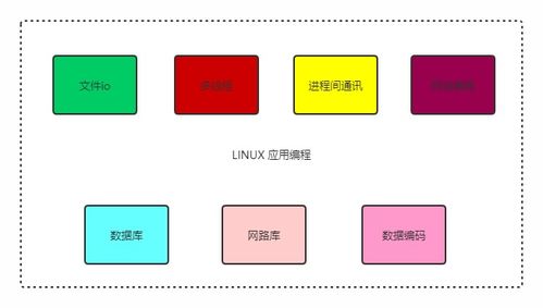 tiktok搭建节点