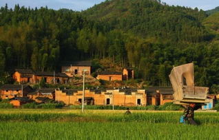 一富二代在农村住了几天,突然感觉自己家里好穷