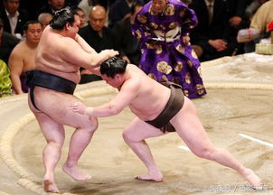 相扑有啥好看的 相扑选手在日本备受推崇,什么寿命普遍较短 