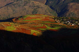 中国的红土地,世界的哈尼梯田图片 