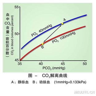 呼吸生理清晰彩图