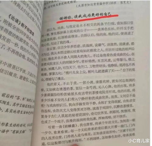 考试作文 我的偶像 ,写一当红明星, 满腔热血 却遭老师狠批