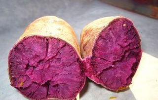 紫薯的做法大全不能和什么一起吃 紫薯的功效与作用是转基因食品吗 2