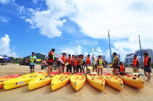 团队旅游散客旅游比例(团体旅游跟散客旅游有什么区别)