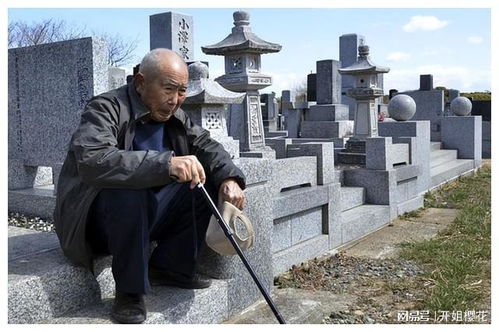 越来越多老人拒绝购买墓地,到底咋回事 他们去世后该如何处理