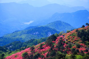 中国山区有哪些 (中国山区有哪些城市)