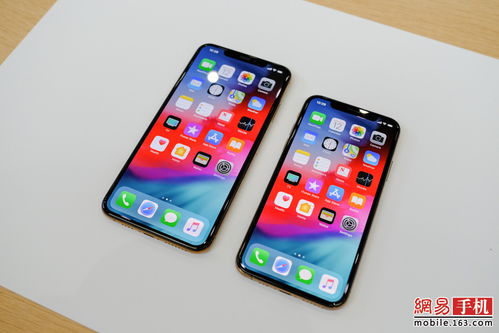 iPhone Xs Xs Max发布 OLED屏 全新A12芯片双卡双待