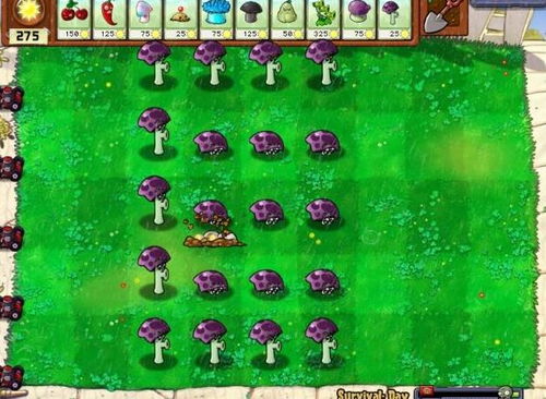 pvz 1代的冷知识</title>
<meta name=