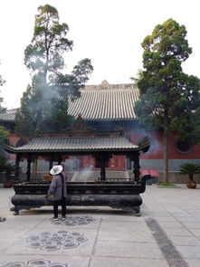 洛阳伽蓝记翻译？洛阳伽蓝记 白马寺 翻译