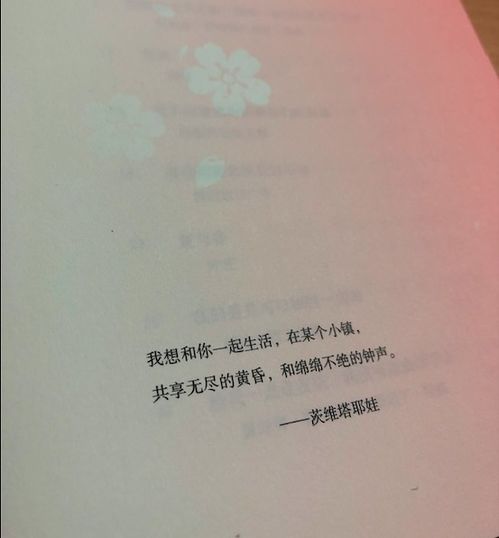 优美的情书范文短句  写情书的开场白有没有比较有诗意的？