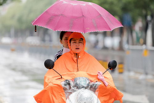 上坟可以打伞吗