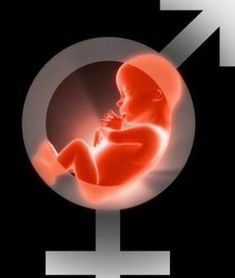 胎儿性别 胎儿性别是什么时候形成的