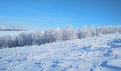 我国 最冷 的4个城市,动不动就零下10多度,出门就看雪