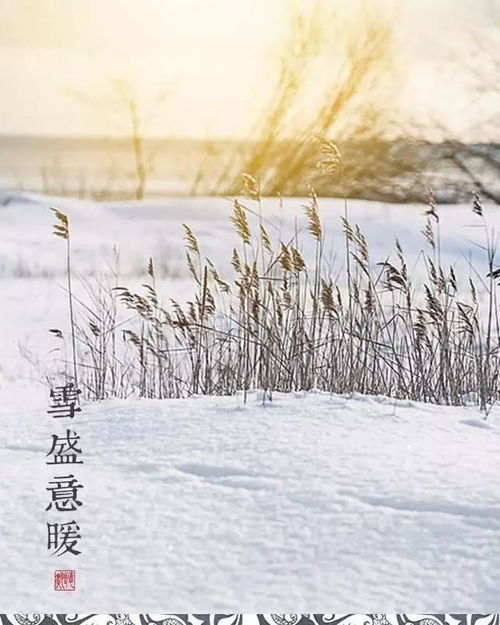 大雪 新年不远了,你开始盼望着回家了吗 