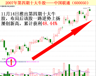 2008最牛股是哪只