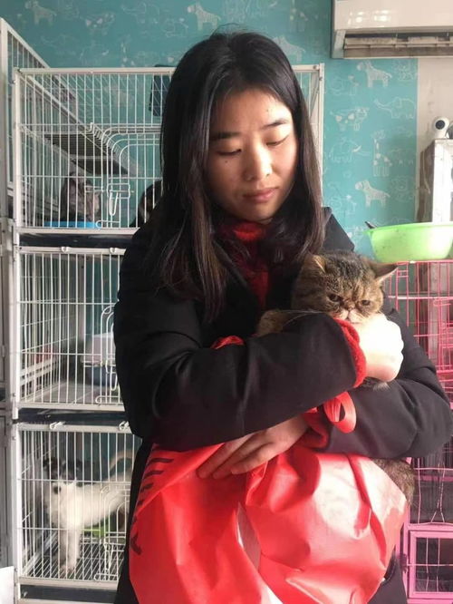 图 上海长宁区 24小时流浪狗 流浪猫领养收养收容中心电话 上海宠物狗 