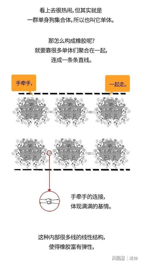 混知小百科 橡胶的起源和革命