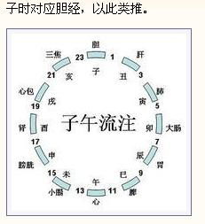 人体的十二部位如何对应十二属相 